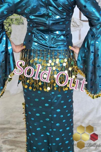 画像7: サイディ  (7)