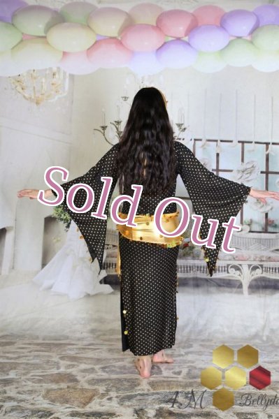 画像4: サイディ  (4)