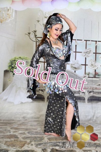 画像3: サイディ  (3)