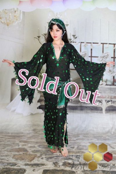 画像1: サイディ  (1)