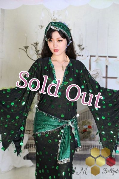 画像2: サイディ  (2)