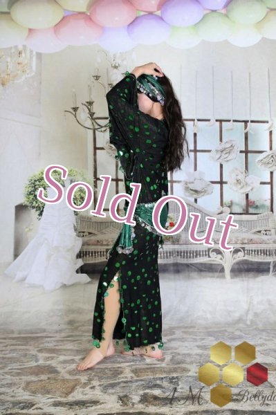 画像3: サイディ  (3)