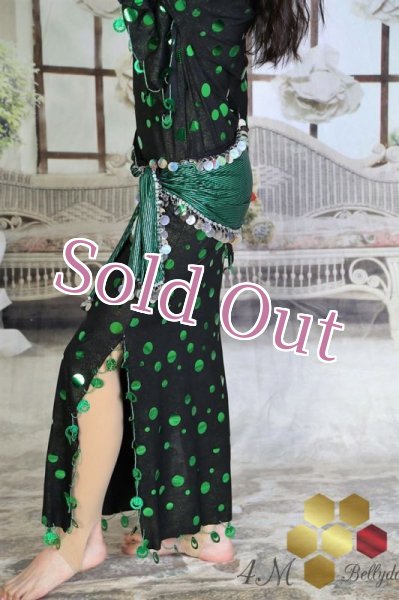 画像4: サイディ  (4)