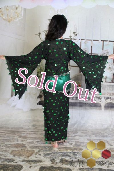 画像5: サイディ  (5)