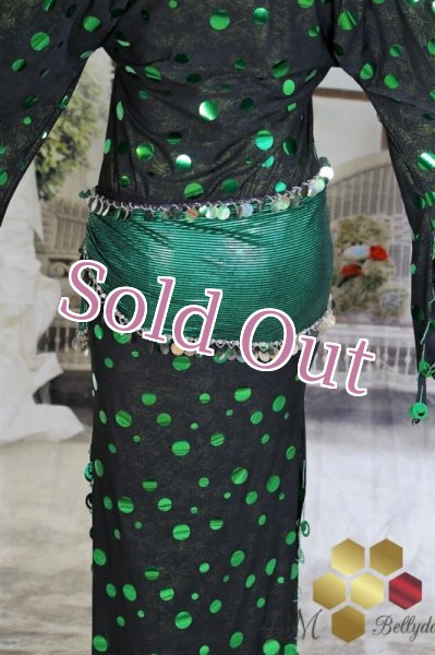 画像6: サイディ  (6)