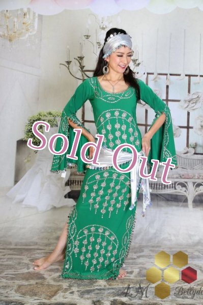 画像1: サイディ  (1)