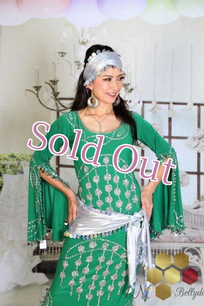 画像2: サイディ  (2)