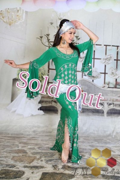 画像3: サイディ  (3)