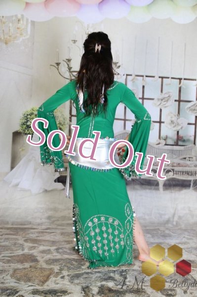 画像4: サイディ  (4)