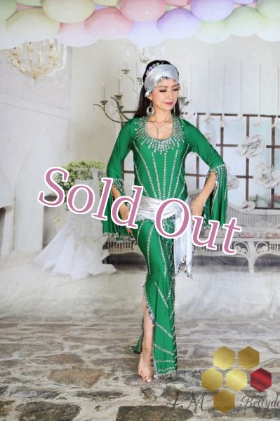 画像6: サイディ  (6)