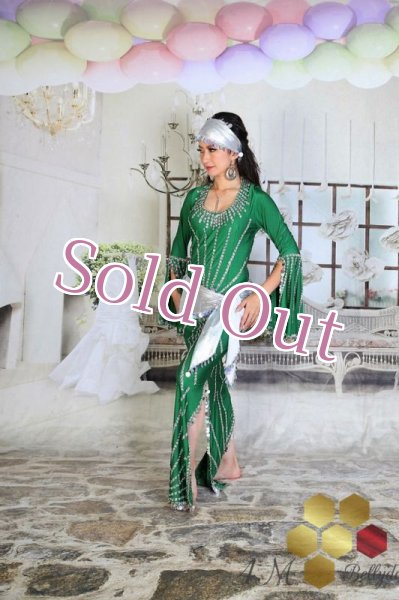 画像8: サイディ  (8)