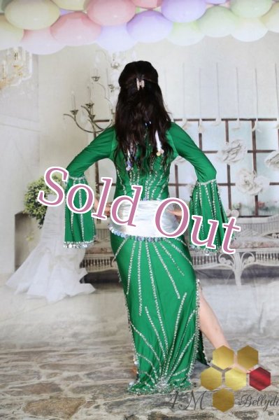 画像9: サイディ  (9)