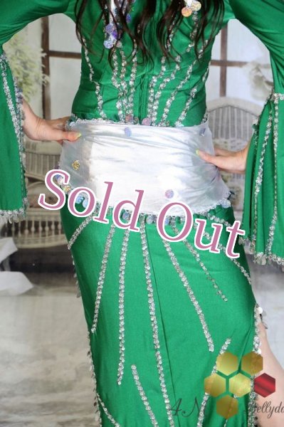 画像10: サイディ  (10)