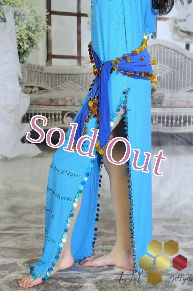 画像4: サイディ  (4)