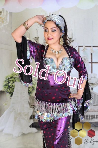 画像2: サイディ  (2)