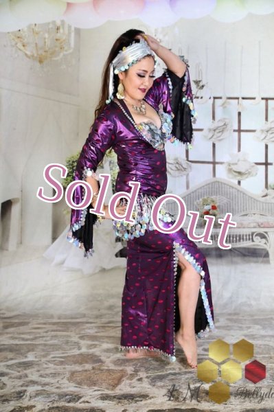 画像4: サイディ  (4)