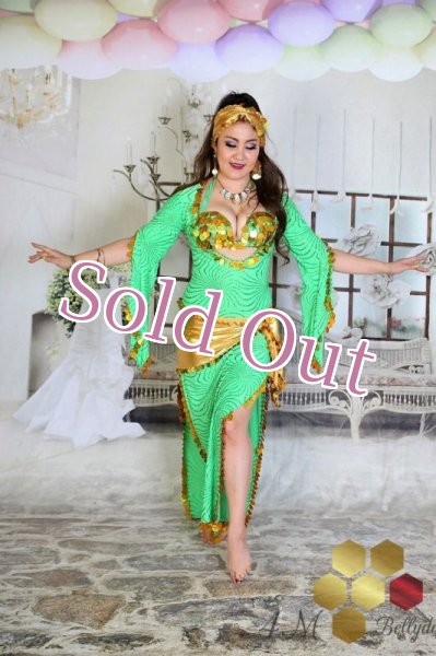 画像3: サイディ  (3)