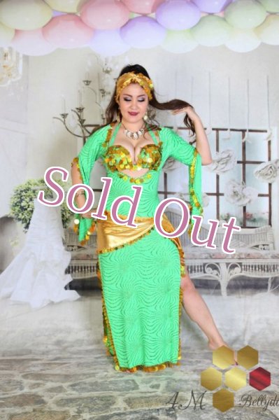 画像4: サイディ  (4)