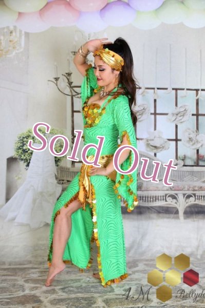 画像5: サイディ  (5)