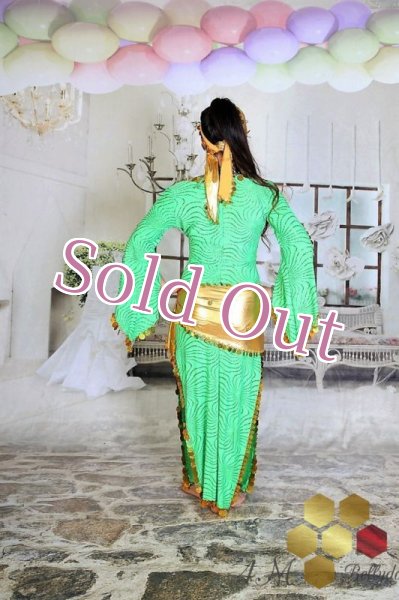 画像6: サイディ  (6)