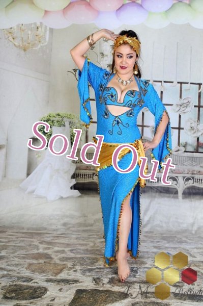 画像1: サイディ  (1)