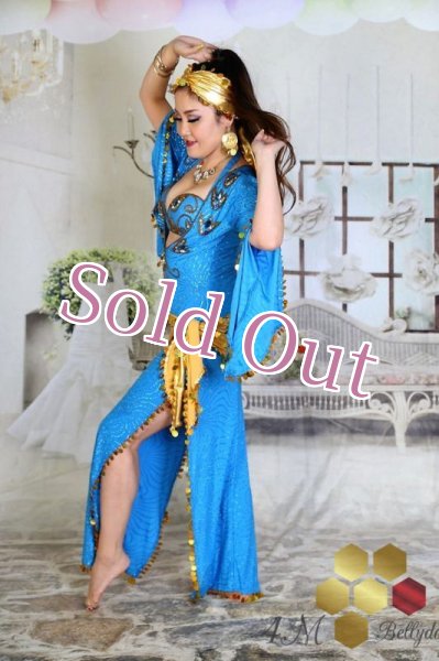 画像4: サイディ  (4)