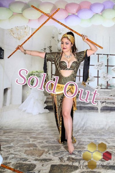 画像1: サイディ  (1)