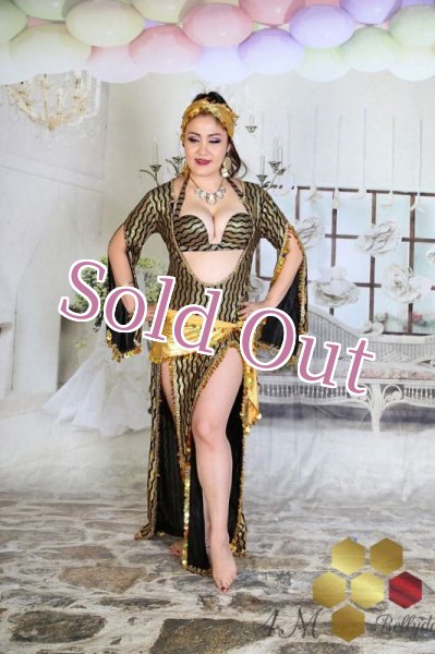 画像3: サイディ  (3)