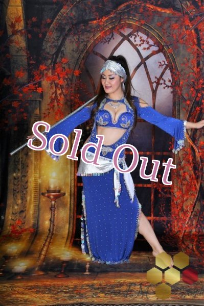 画像1: サイディ  (1)