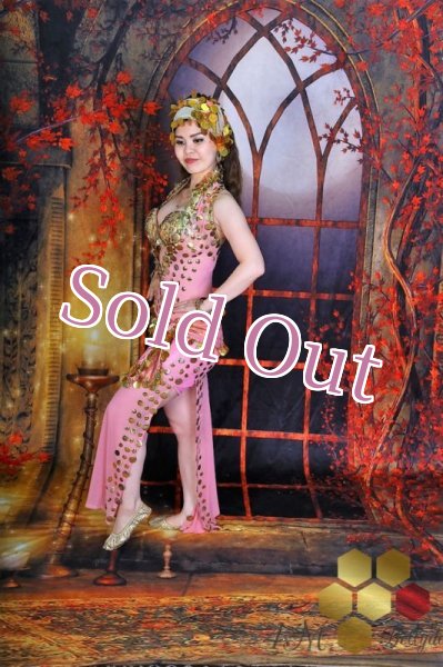 画像6: サイディ  (6)