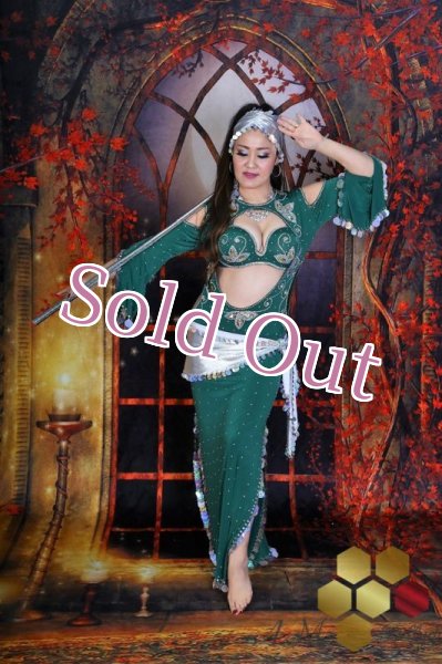 画像1: サイディ  (1)