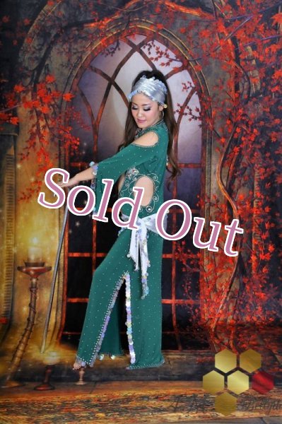 画像3: サイディ  (3)