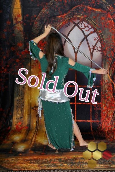 画像4: サイディ  (4)