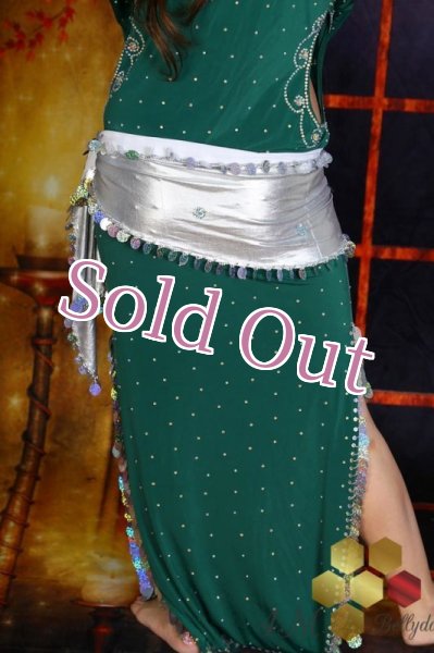 画像5: サイディ  (5)