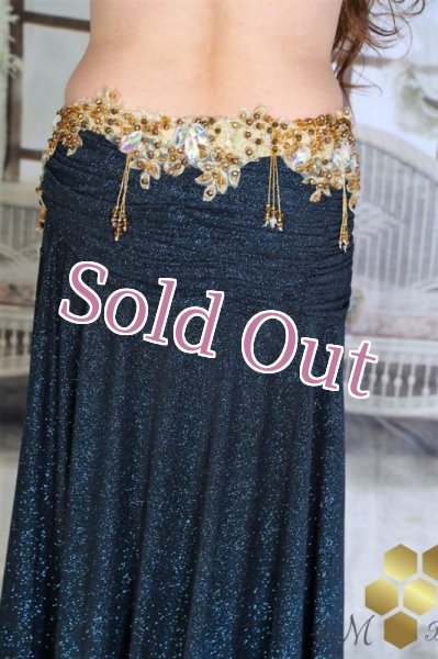 画像12: オリエンタルグループコスチューム（OrientalGroupCostumes)No,4 (12)