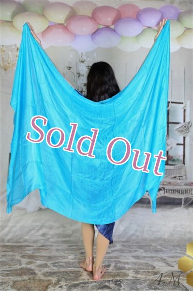 画像1: べール NO 21 (1)