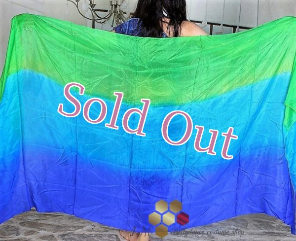 画像2: べール NO 17 (2)