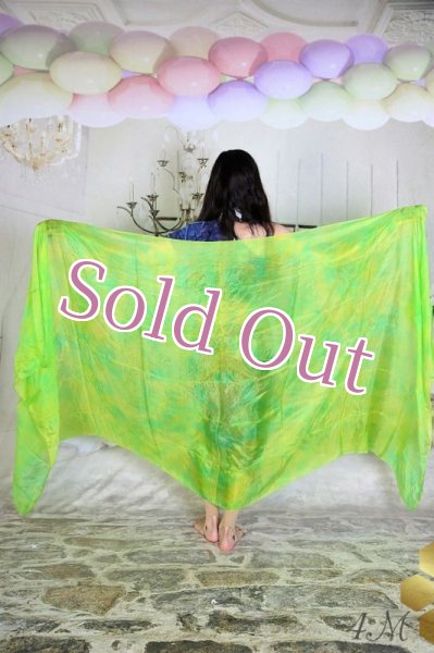 画像2: べール NO 3 (2)