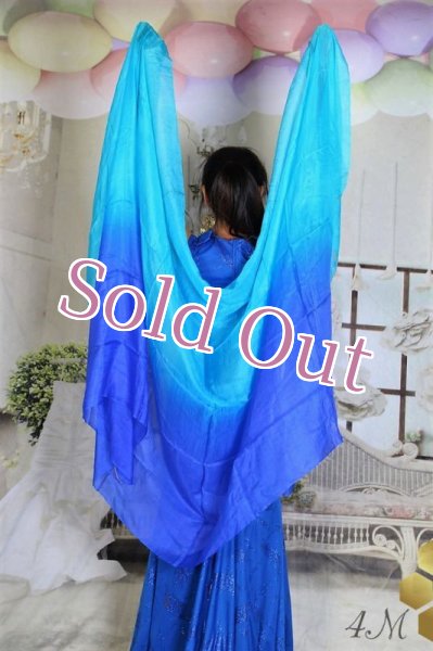 画像1: べール NO 2 (1)