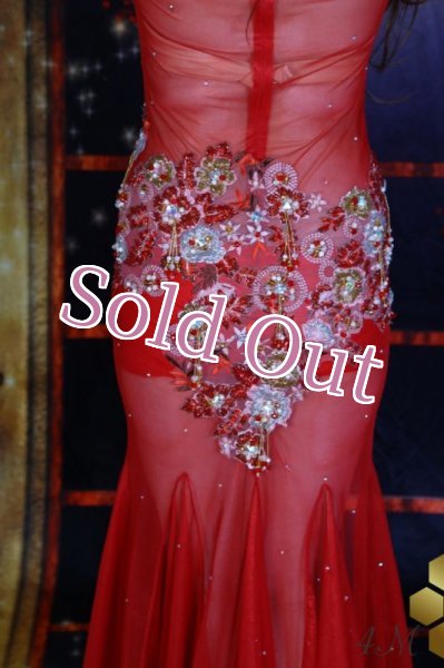 画像8: Aziza No,77 (8)