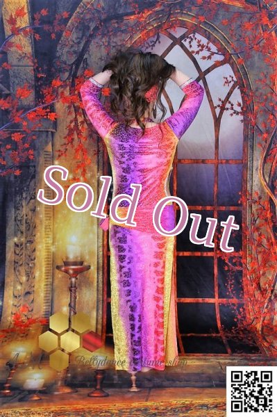 画像8: バラディNo,246 (8)