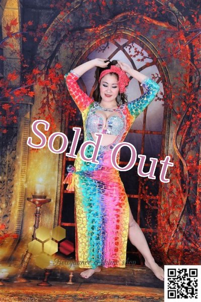 画像3: バラディNo,245 (3)