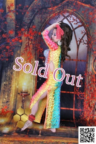 画像5: バラディNo,245 (5)