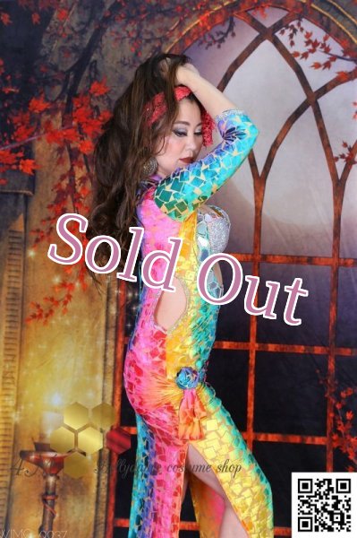 画像7: バラディNo,245 (7)