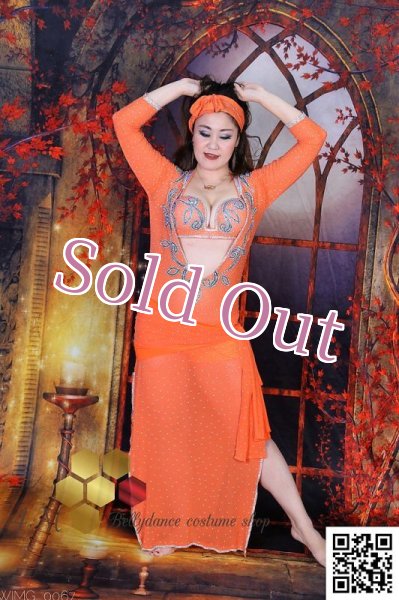 画像1: バラディNo,241 (1)