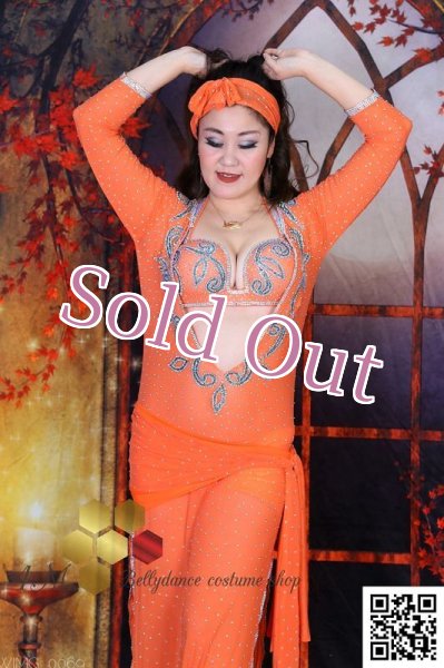 画像3: バラディNo,241 (3)