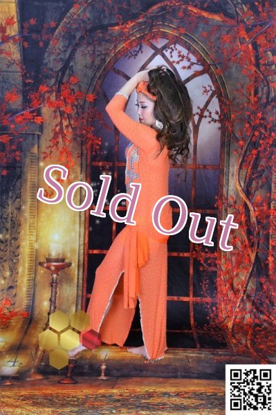 画像5: バラディNo,241 (5)