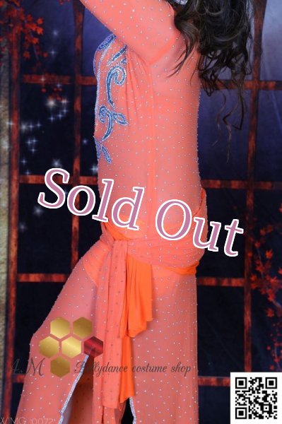 画像6: バラディNo,241 (6)