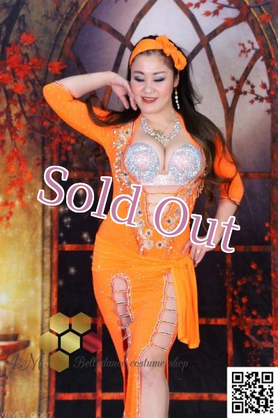 画像2: バラディNo,239 (2)