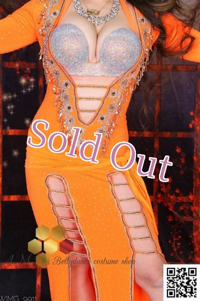 画像6: バラディNo,239 (6)